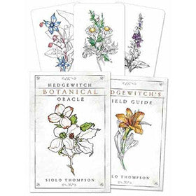 Hedgewitch Botanical oracle by Siolo Thompson